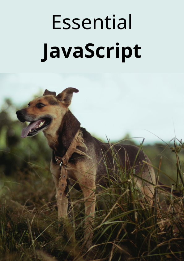 JavaScript