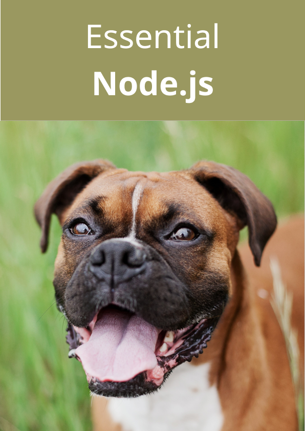 Node.js