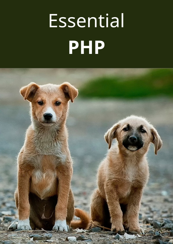 PHP