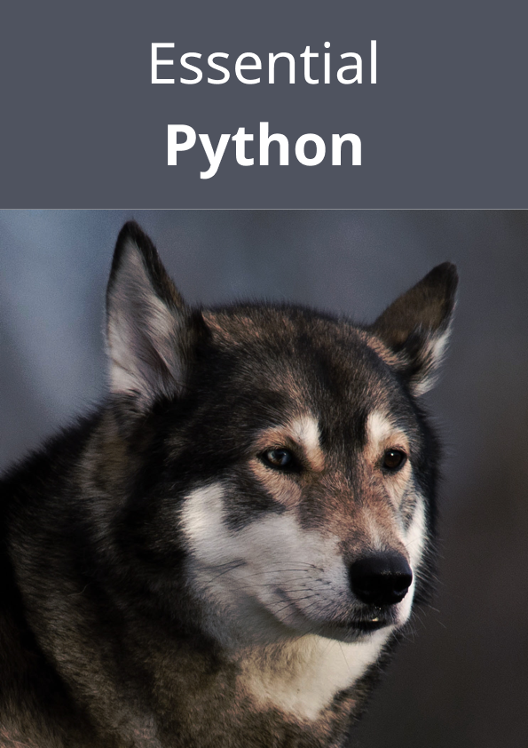 Python