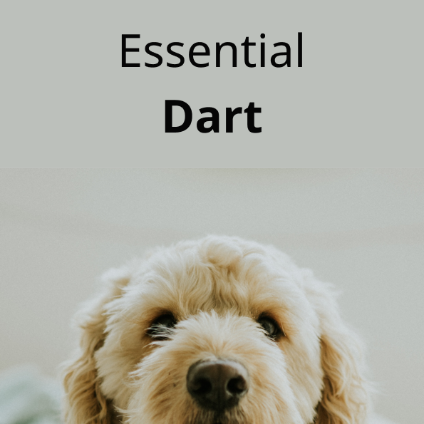 Getting started with Dart